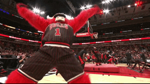 Chicago Bulls Mascot GIF by NBA