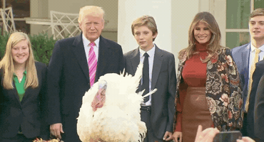 Donald Trump GIF
