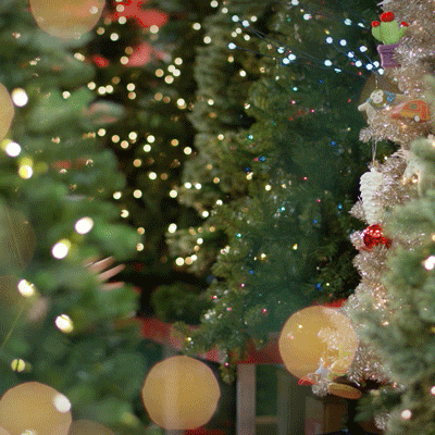 christmas lights GIF by Target