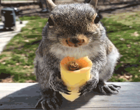 source.gif