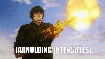 zygisrko anime funny guns arnold GIF