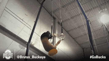 mgym brutus funny GIF by Ohio State Athletics