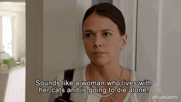 tv land cats GIF by YoungerTV