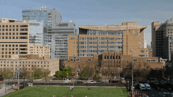boston hospital GIF by Harvard Medical School