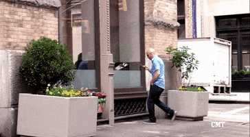 walk into a window GIF by The Ed Bassmaster Show