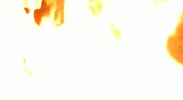 quack fire hell elemental roland orzabal.tears for fears GIF