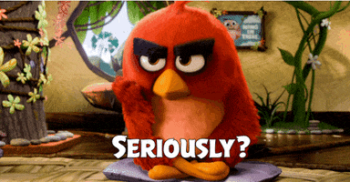 Wtf Seriously GIF by Angry Birds