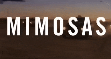 New York Film Festival Mimosas GIF by Film at Lincoln Center