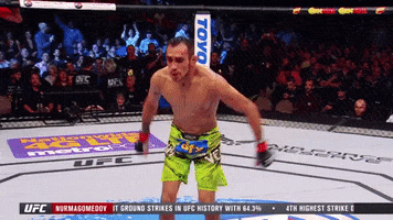 ufc 209 GIF