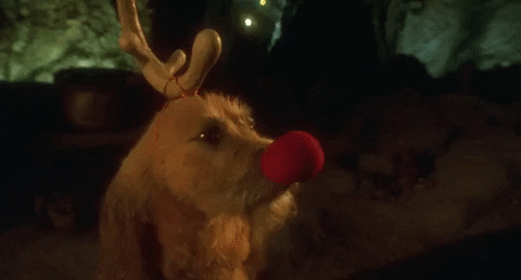 Jim Carrey Christmas Movies GIF by filmeditor - Find & Share on GIPHY