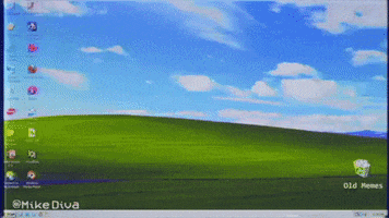 dog meme GIF by Mike Diva