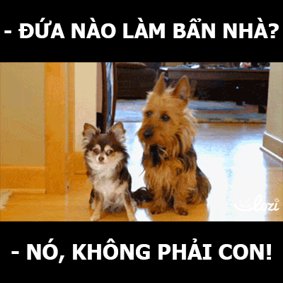 gifcreatorlozi lozihanoi vietnamesegif GIF