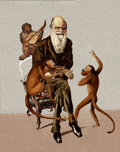 Image result for Charles Robert Darwin gif