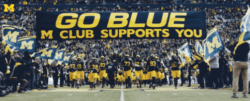 College Football Mood GIF by Michigan Athletics
