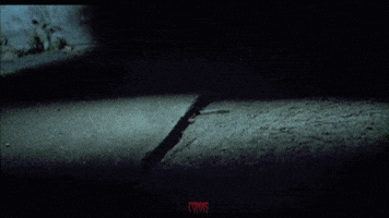 aarondillon  GIF