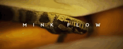 Young Thug Mink Flow GIF