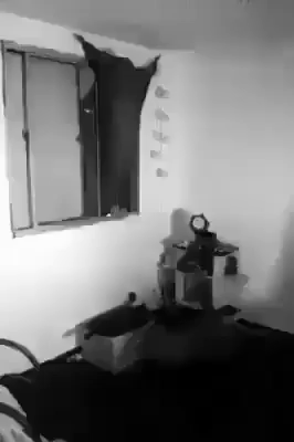 Terror Miedo GIF