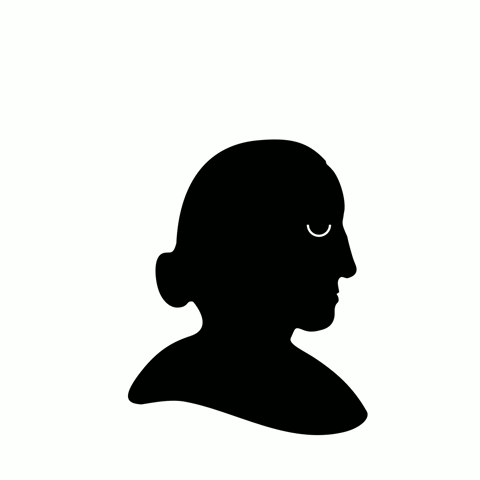 bbhijosa anna atkins PhotoBookday world photobook day seaweed on my head GIF