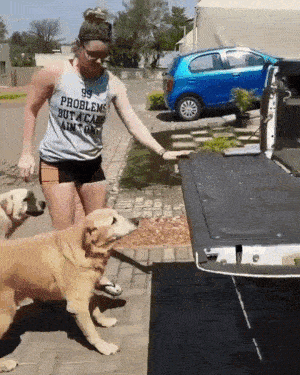 licjorgezc  GIF