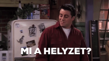 How You Doin? Friends GIF