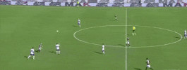 francescolisanti samp torreira GIF