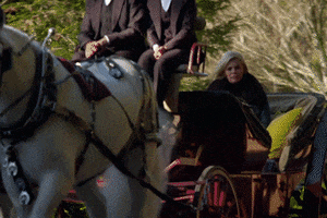 200.gif?cid=fc005b0811660103f666981feb0a1a0125b11ab7db0ddff3&rid=200.gif&ct=g