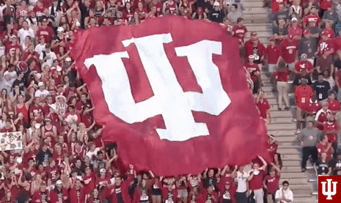Indiana Hoosiers GIF - Find & Share on GIPHY