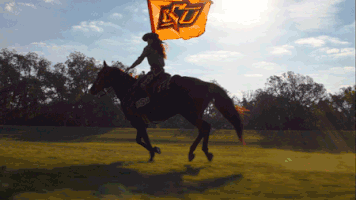 horse touchdown GIF by Oklahoma State University