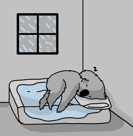 An animated gif illustration of a koala sleeping on a bed beneath a window and you can see it's raining outside.