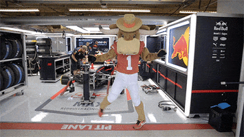 Sports gif. The Texas Longhorn mascot dances happily in the pit lane at the Formula 1 races.