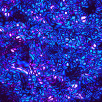 endless-blue-biology-3ov9jYfy34zERJAehq