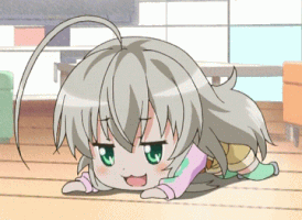 Nutria  GIF