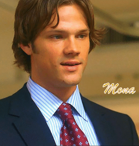 sammy  GIF