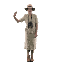 explorer looking Sticker by Studios Stickers