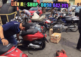 Xe GIF