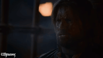 ferregoantaryon got jaime lannister juego de tronos catelyn stark GIF