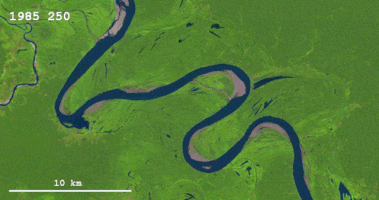 cerebrodigital rivers GIF