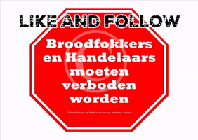 Brood puppy pups hond dieren GIF