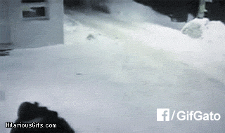 gifbom  GIF