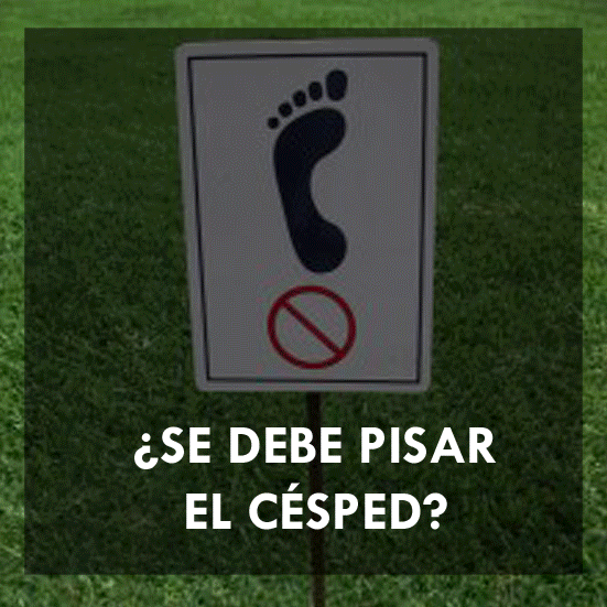 diegogutarra cesped GIF