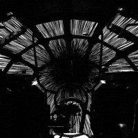 star-wars-falcon-chew-3owvKgRjmrtgJikO7C