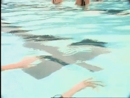 200.gif?cid=fc005b081e3c70b5f5393ed3fb5908ce7a7ef5cc1707d575&rid=200.gif&ct=g