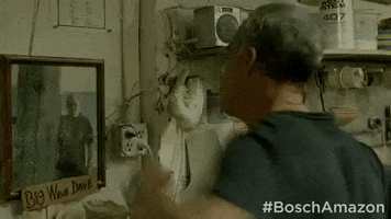 harry bosch punch GIF by Bosch