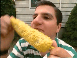 200.gif?cid=fc005b08cee470efcc9d6e98229a4b54e36a5b7baa5b56b5&rid=200.gif&ct=g