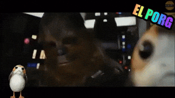 Star Wars Episodio 8 GIF