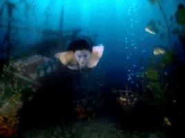 Mermaid Resolve GIF by Foo Fighters