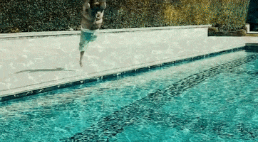 Dive In GIFs - Get the best GIF on GIPHY