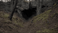 dark cave GIF