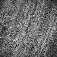white noise glitch GIF by Nico Roxe