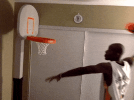 ddwdaddy basketball hoops lakers GIF